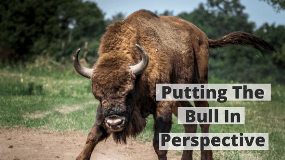 Putting The Bull In Perspective
