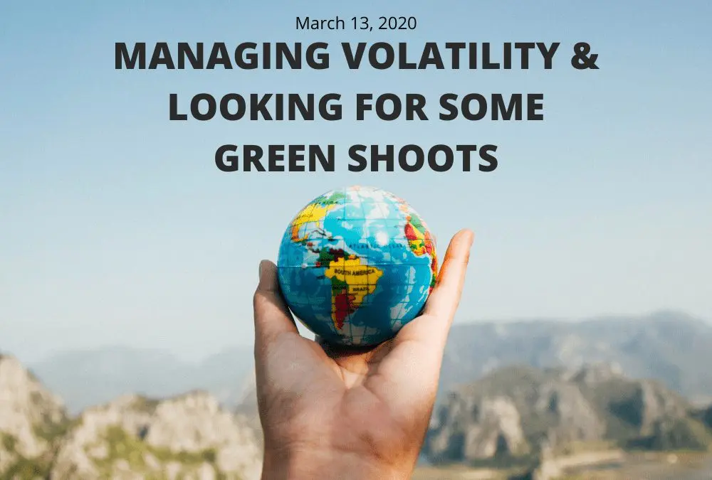 Managing Volatility & Looking for Some Green Shoots